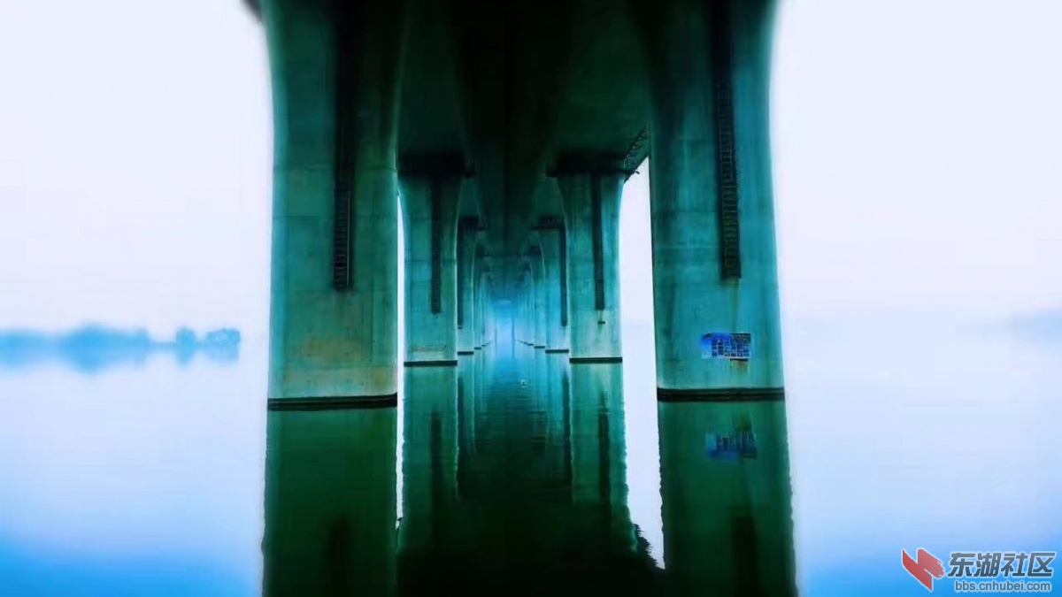 95.jpg