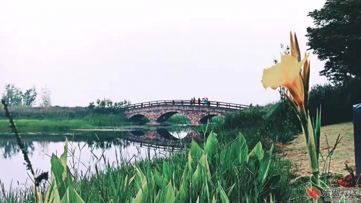 96.jpg