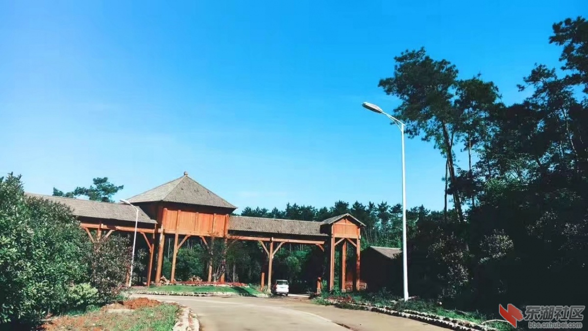 91.jpg