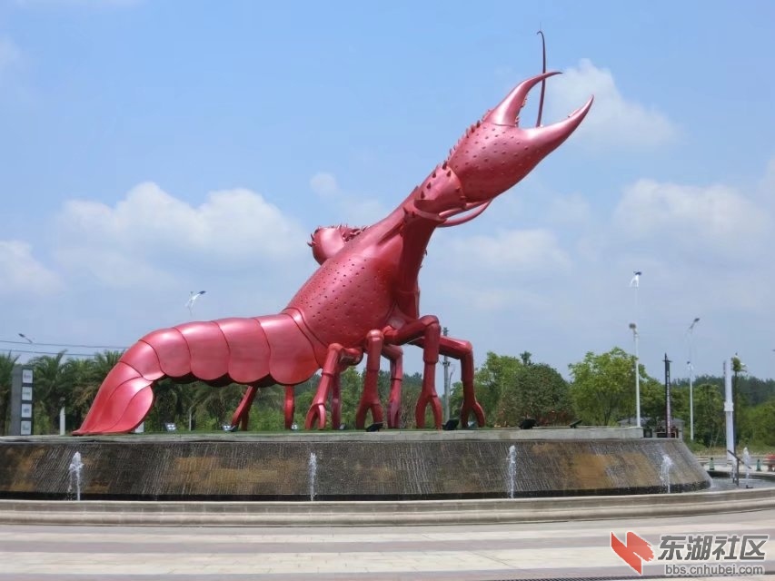 CIMG0100.jpg