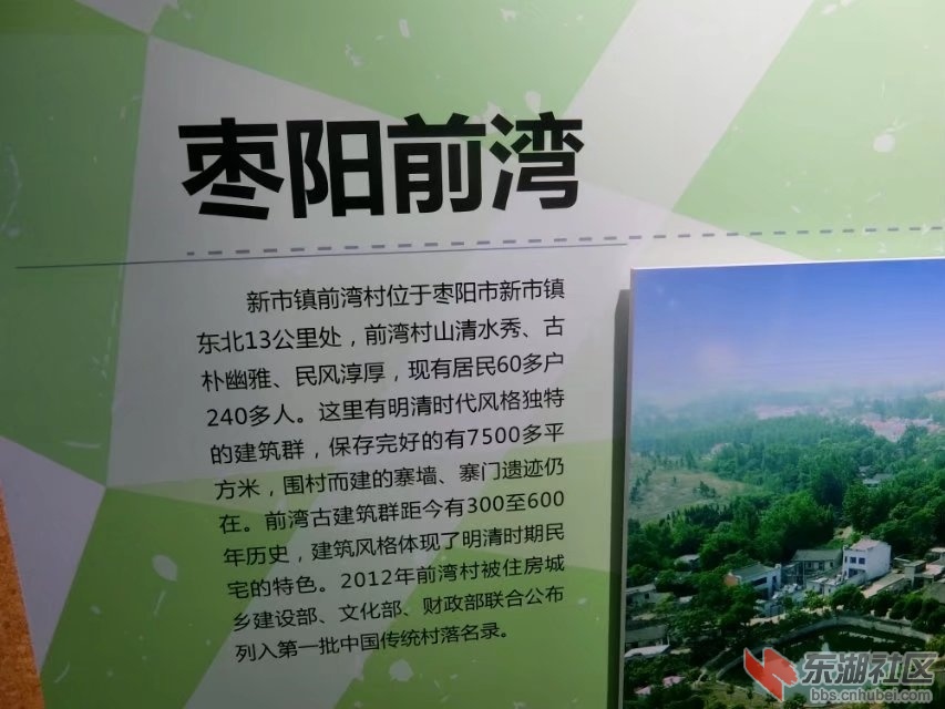 CIMG8018.jpg