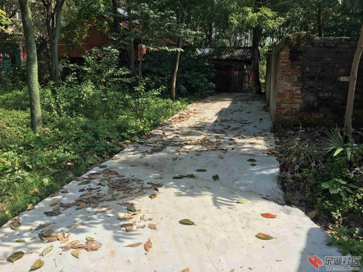 黄龙新桥村一组村民左俊成(水泥路右侧)门前道路硬化情况.JPG