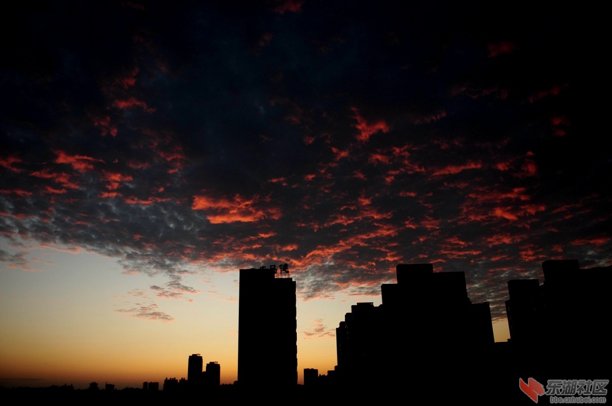 DSC_8864.jpg