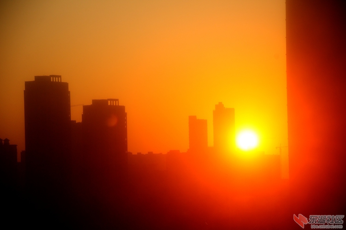 DSC_8872.JPG