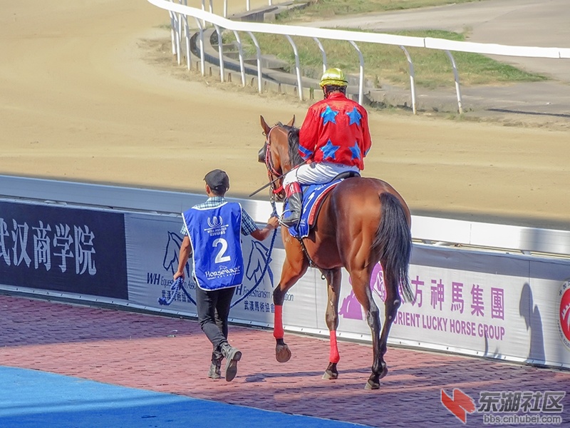 5    DSC04532_副本.jpg