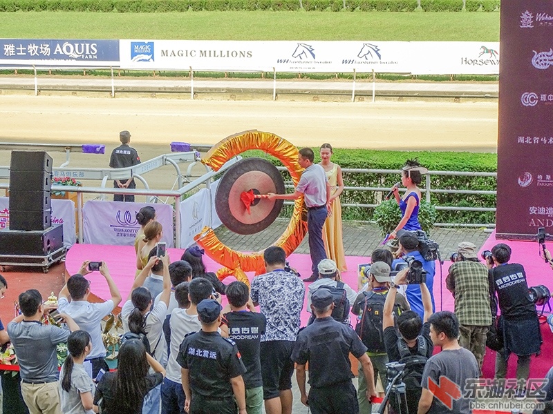 9    DSC04530_副本.jpg