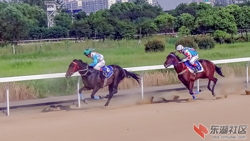15   DSC04603_副本.jpg
