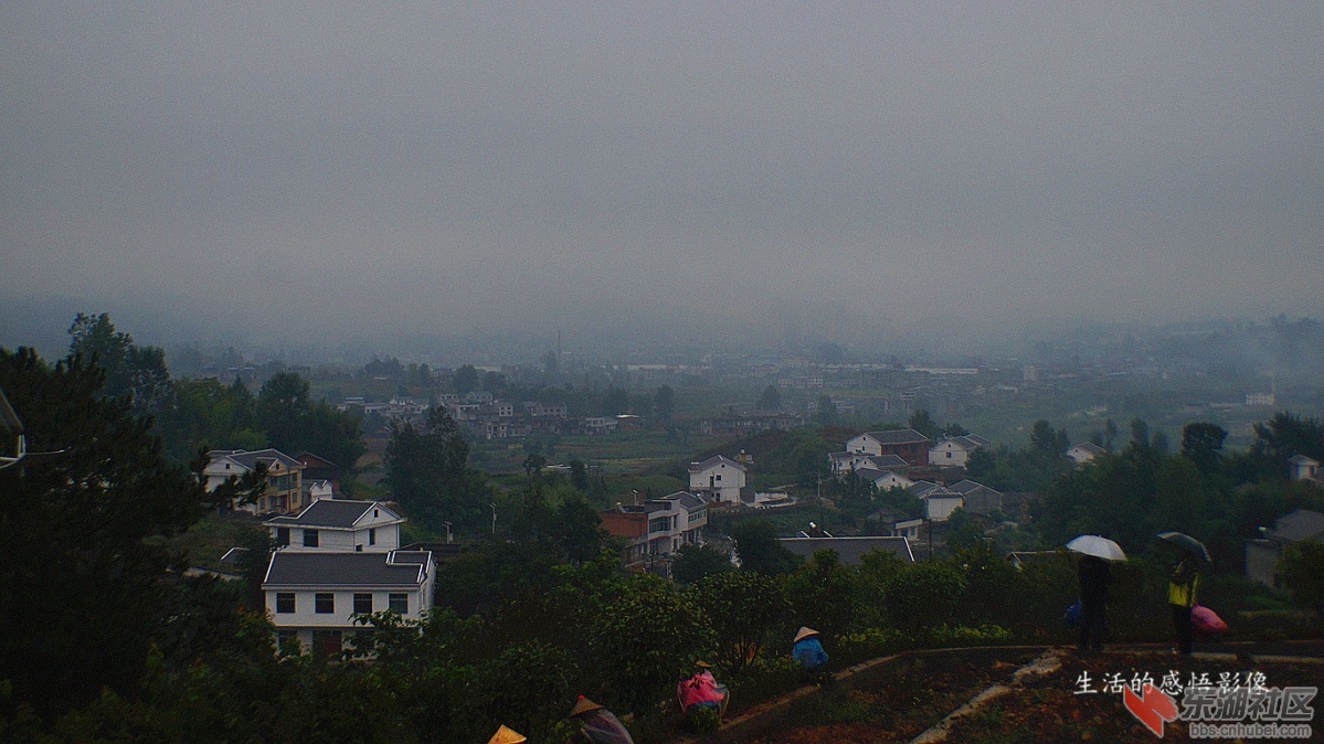 7.DSC03812_副本_副本.jpg