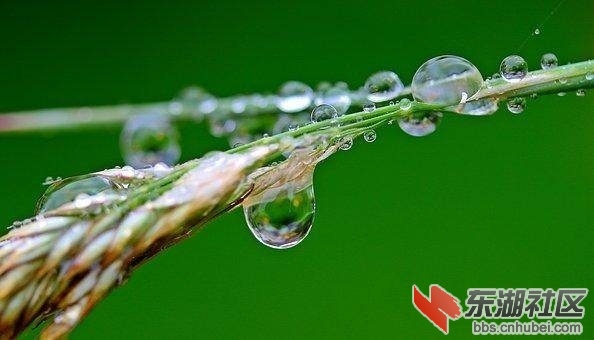 170040q4xpc7h9g6y66un7.jpg