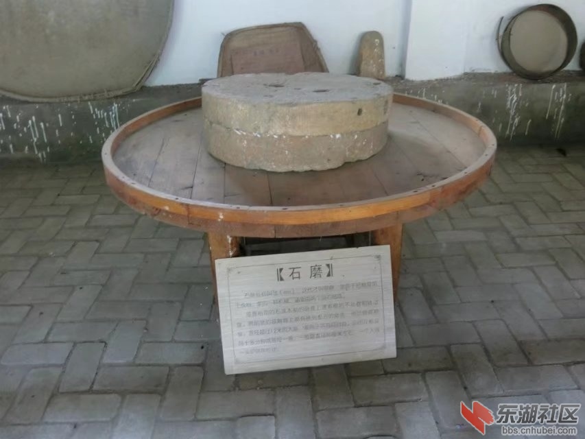 CIMG7753.jpg