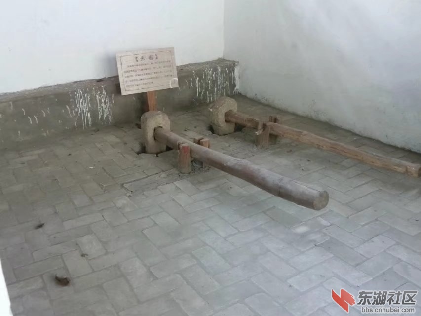 CIMG7759.jpg