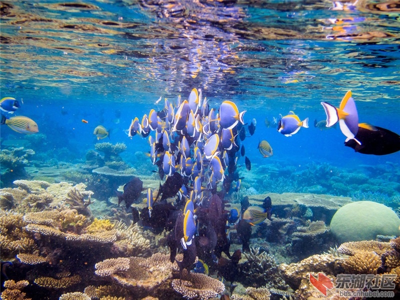 图片 (9).jpg