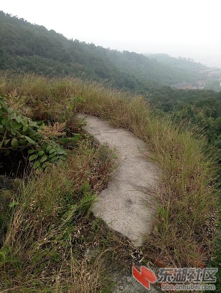 P70923-130030.jpg