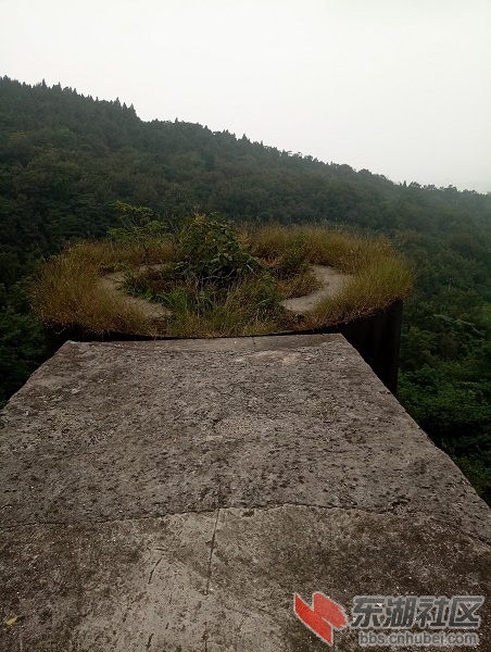 P70923-130043.jpg