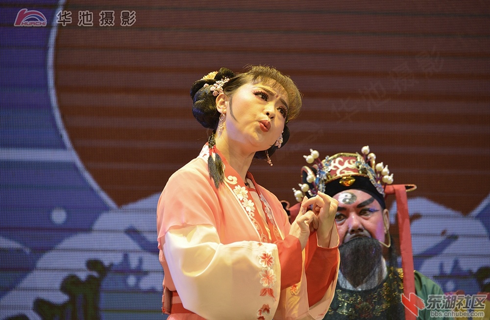 黄梅戏送戏下乡至小池镇部分剧照 (12).jpg