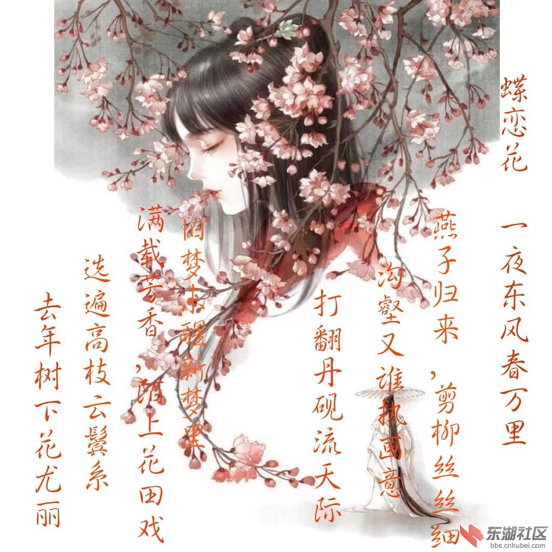 蝶恋花.jpg