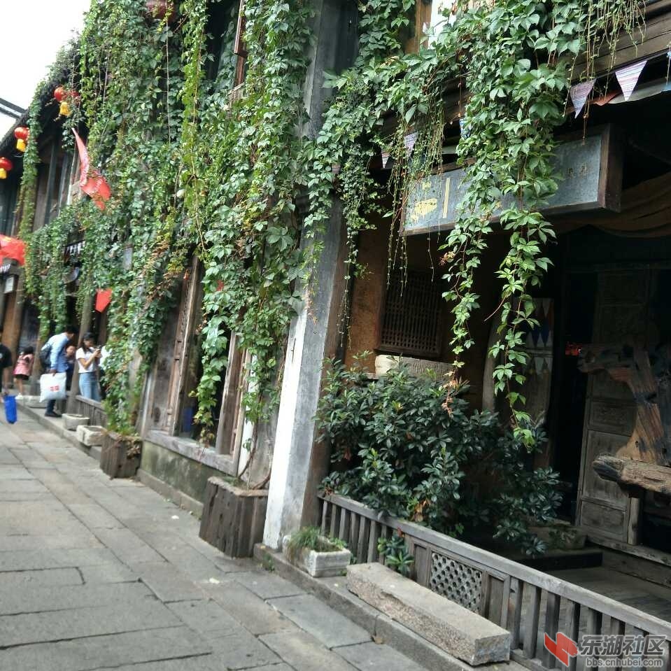 微信图片_20171004132554.jpg
