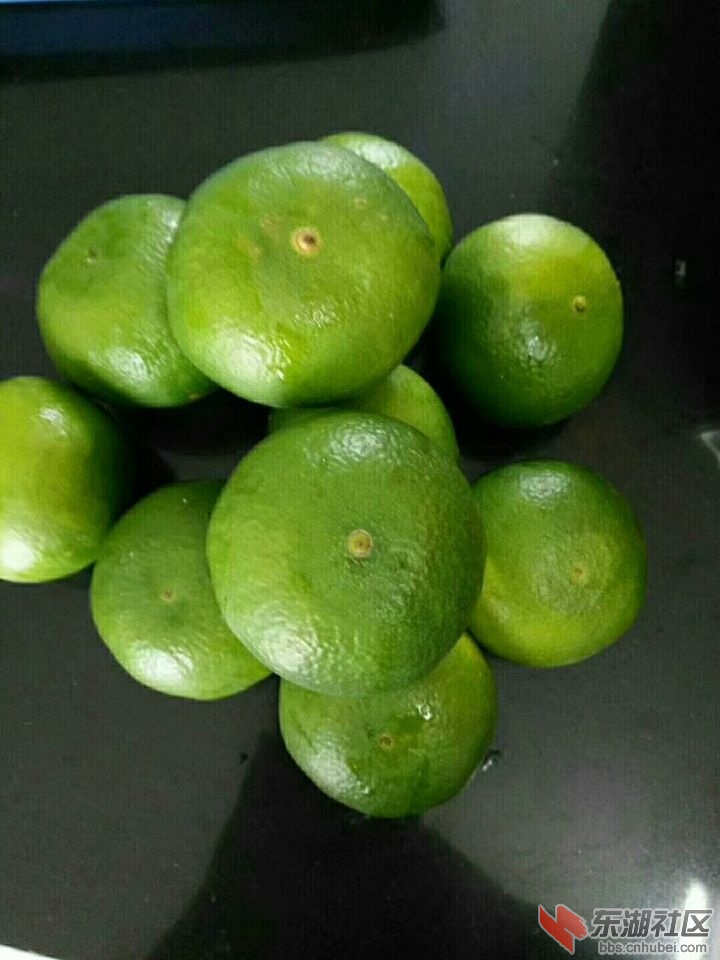 现在的橘子成色