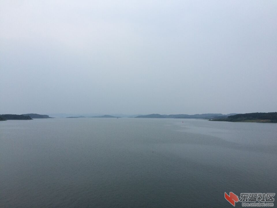 小太平洋