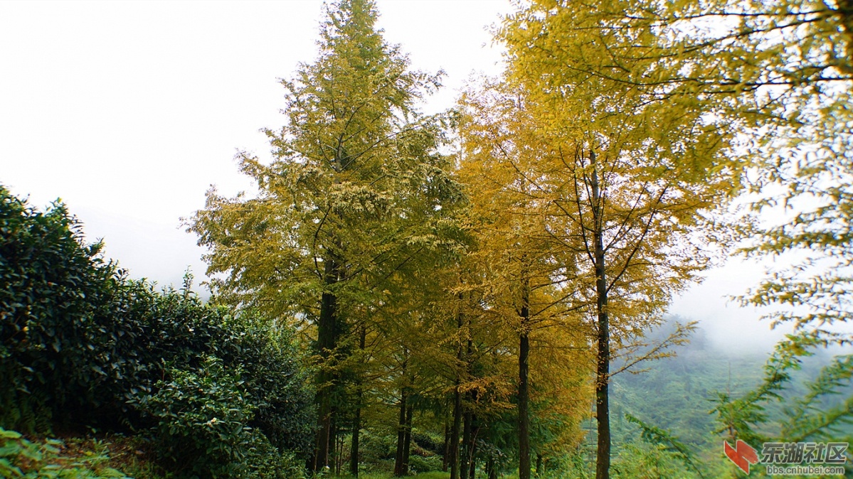 3.DSC05681_副本.jpg