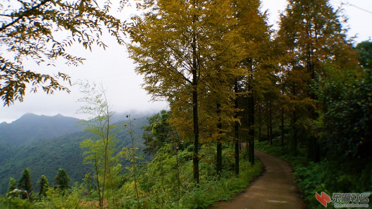 5.DSC05692_副本.jpg