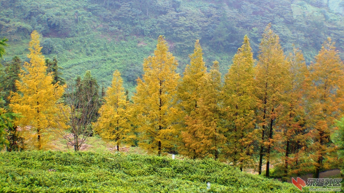 7.DSC05669_副本.jpg