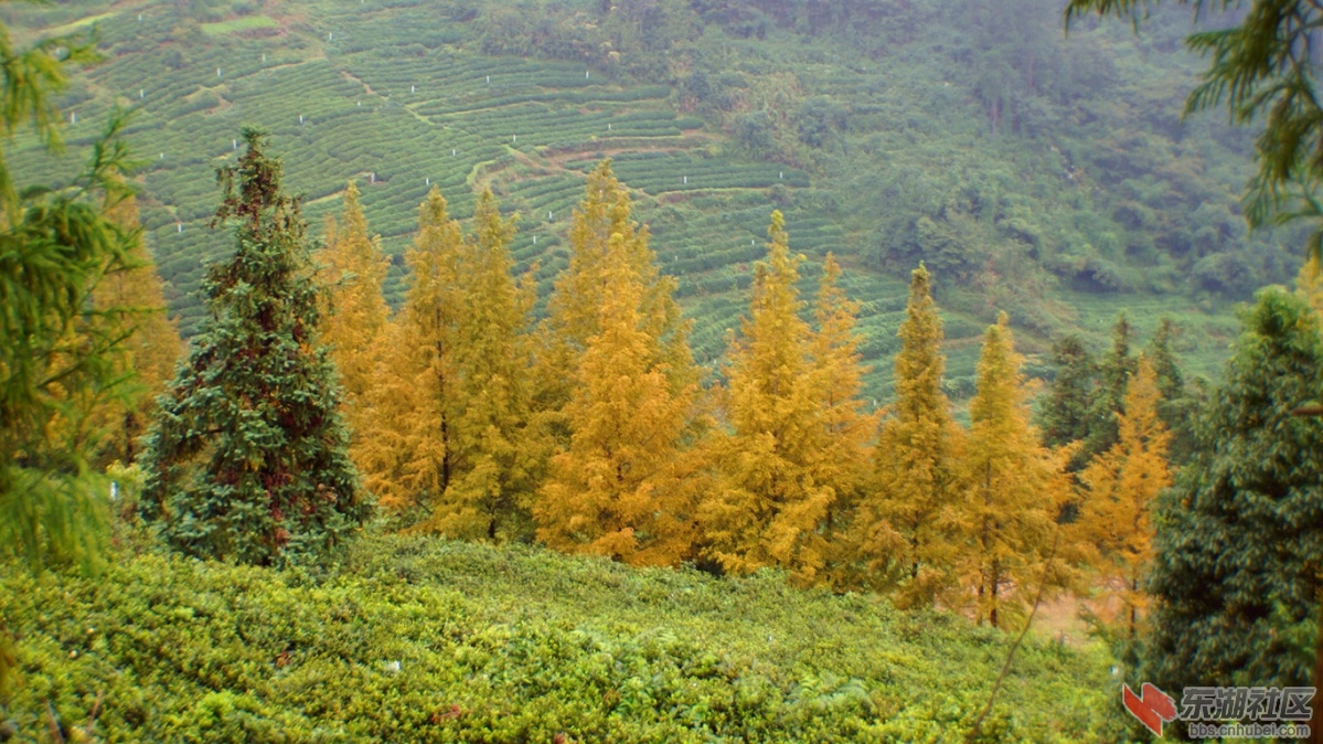 9.DSC05670_副本.jpg
