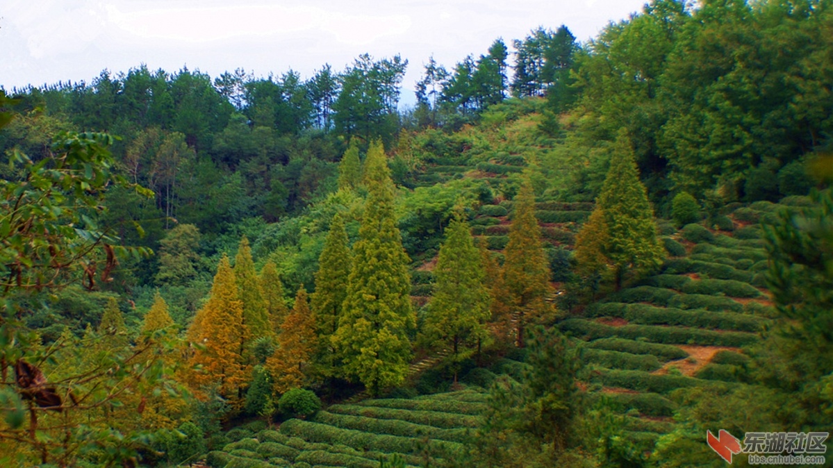 10.DSC05768_副本.jpg