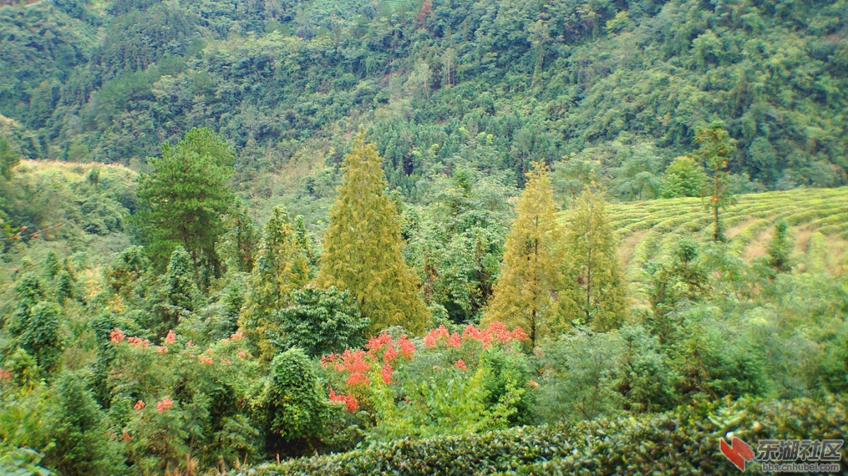 11.DSC05778_副本.jpg