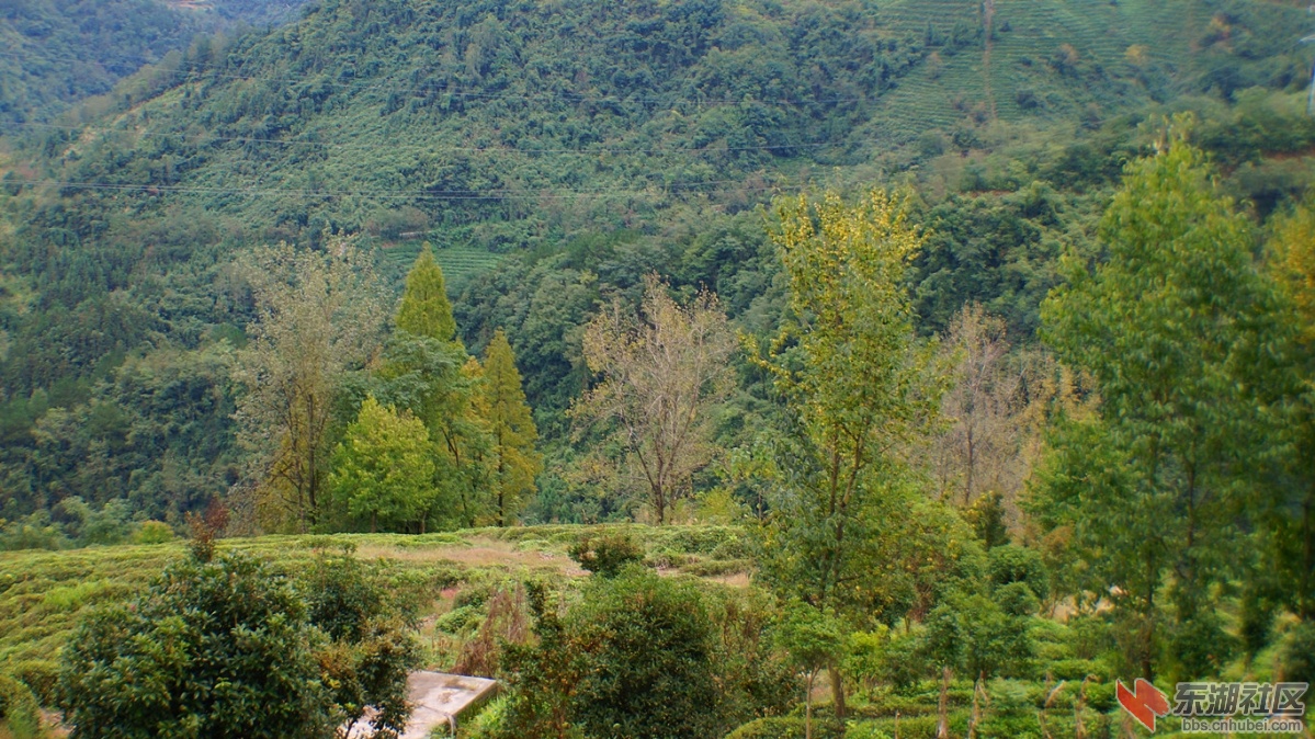 12.DSC05776_副本.jpg