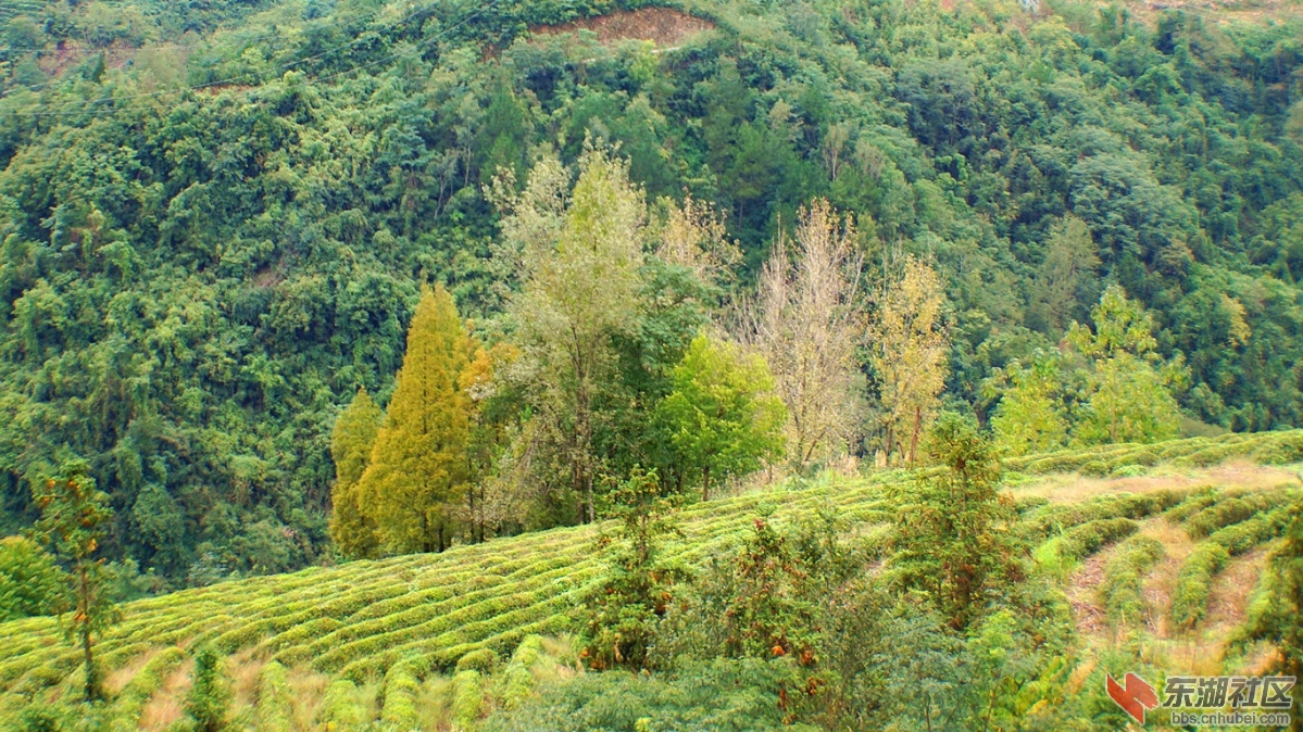 8.DSC05777_副本.jpg