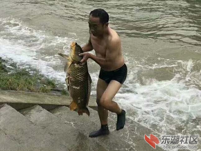 水大鱼大 天亮了.jpg