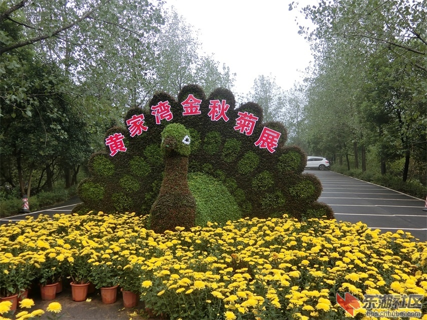 CIMG0717.JPG