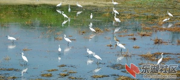 授予“国家水利风景区”的梅川水库美不胜收！