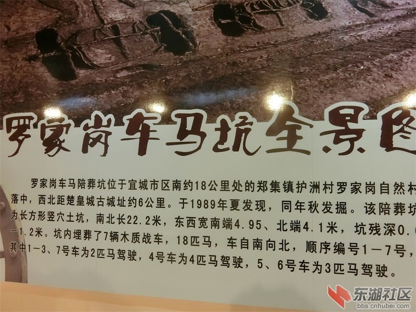 CIMG0552.JPG
