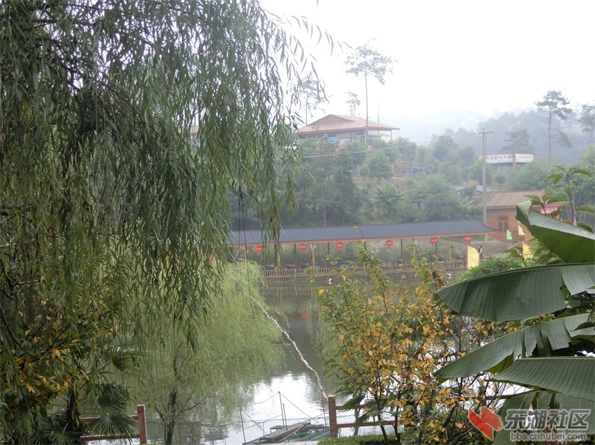 CIMG0733.JPG