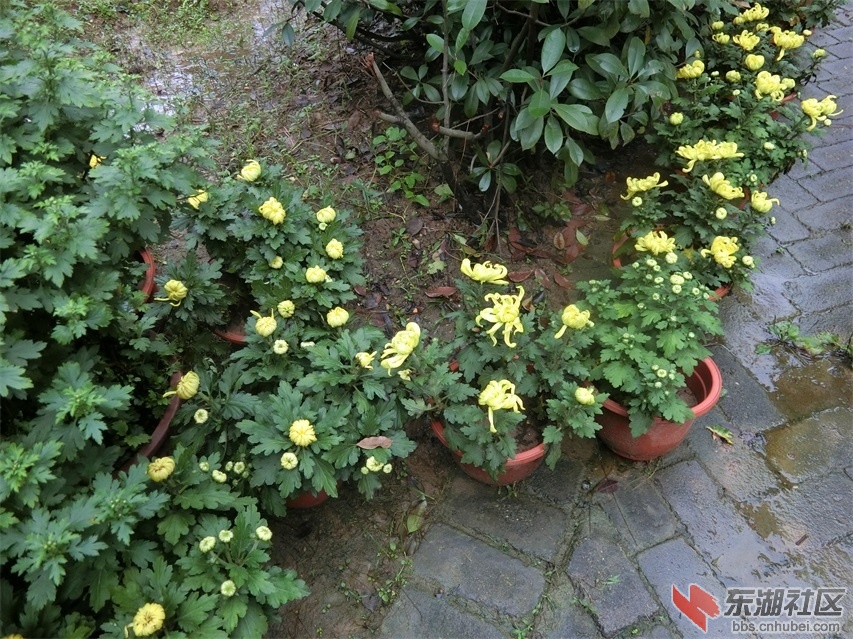 CIMG0754.JPG