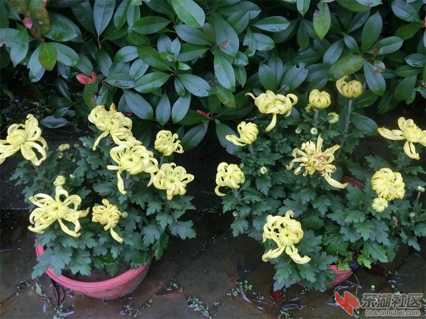 CIMG0756.JPG