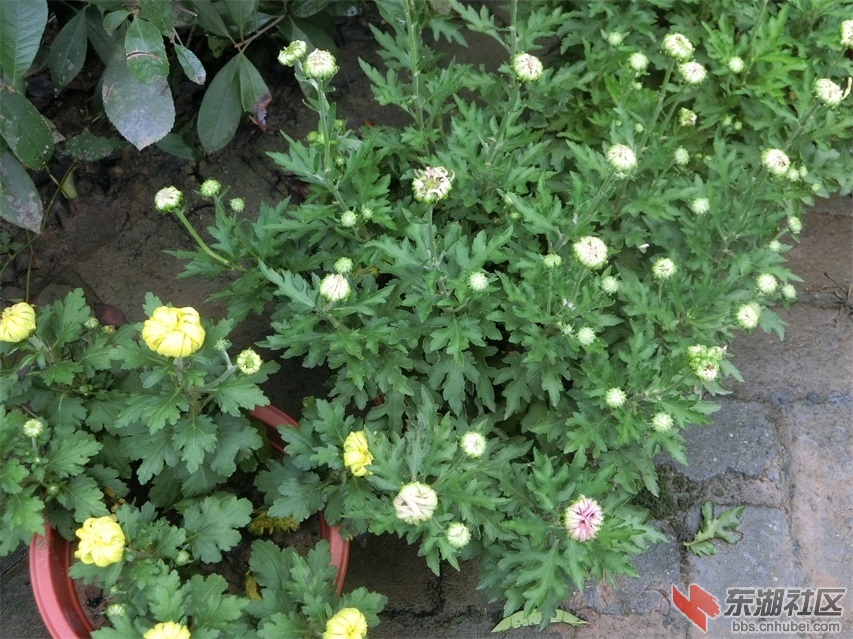 CIMG0757.JPG