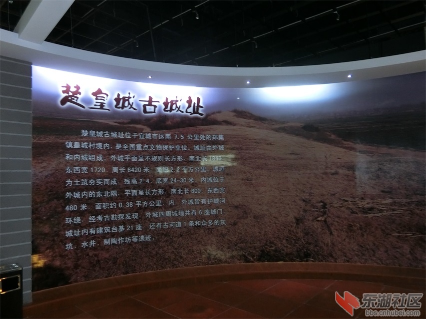 CIMG0585.JPG