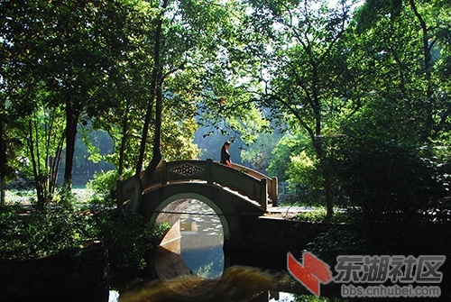 2._9438.JPG