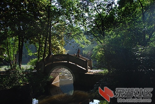 5._9442.JPG