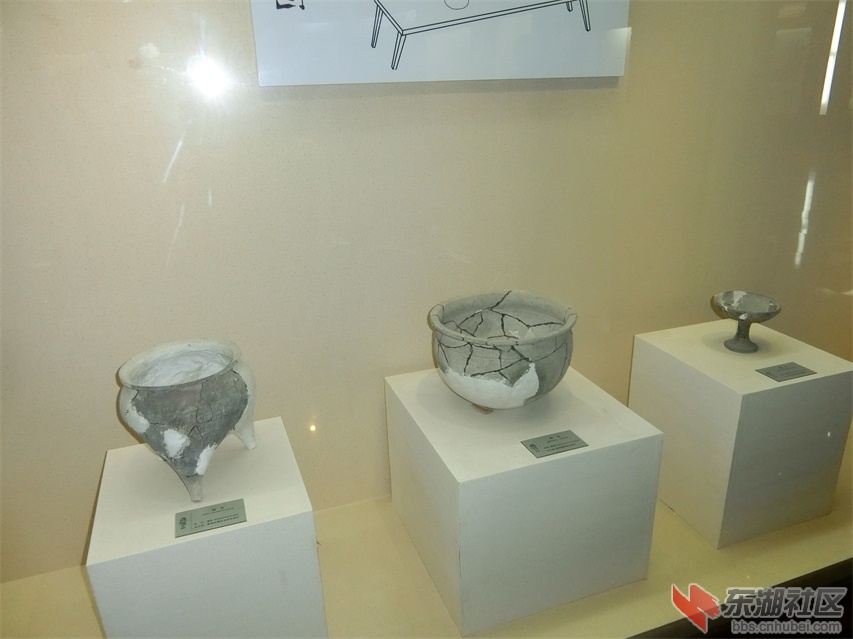 CIMG0595.JPG