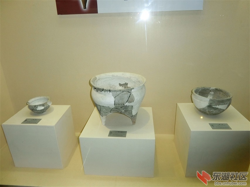 CIMG0594.JPG
