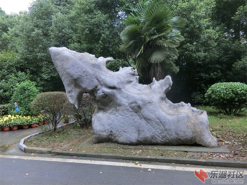 CIMG0788.JPG