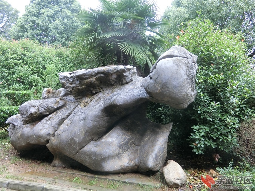 CIMG0789.JPG