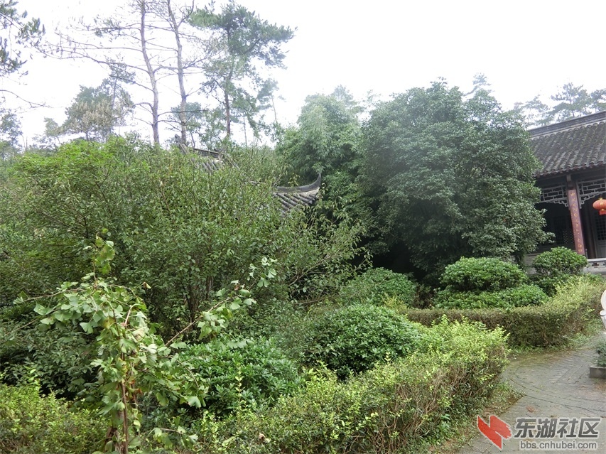 CIMG0830.JPG