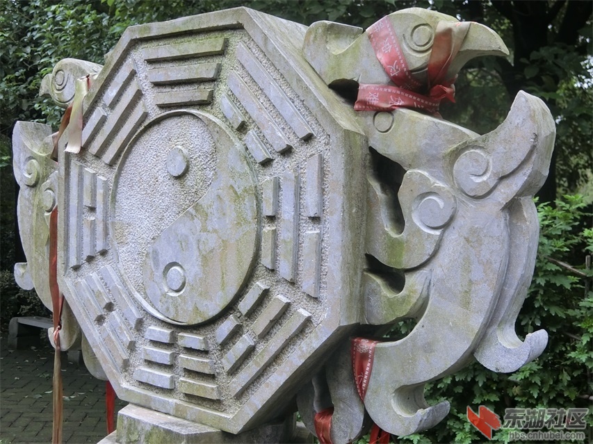 CIMG0835.JPG