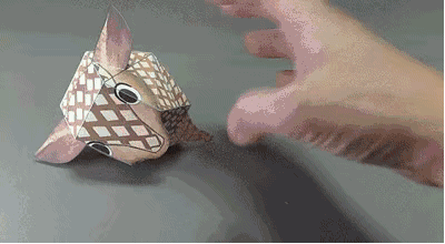 QQ图片20171016155235.gif