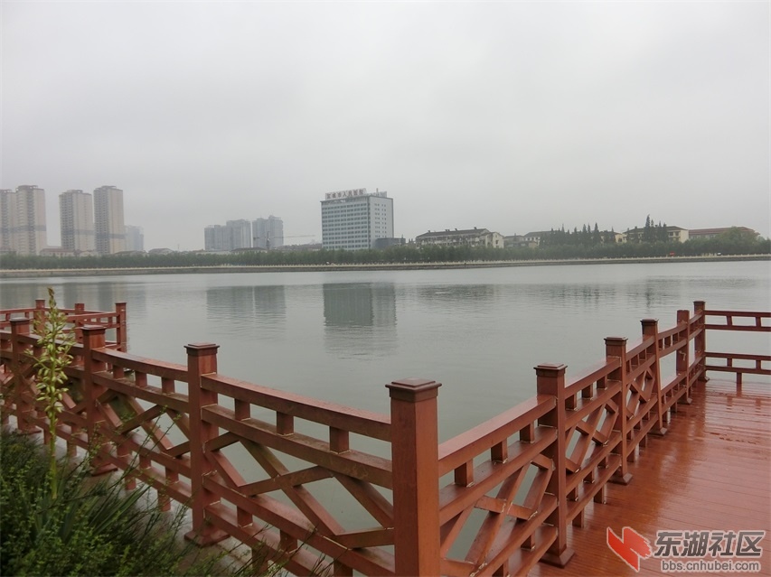 CIMG0708.JPG